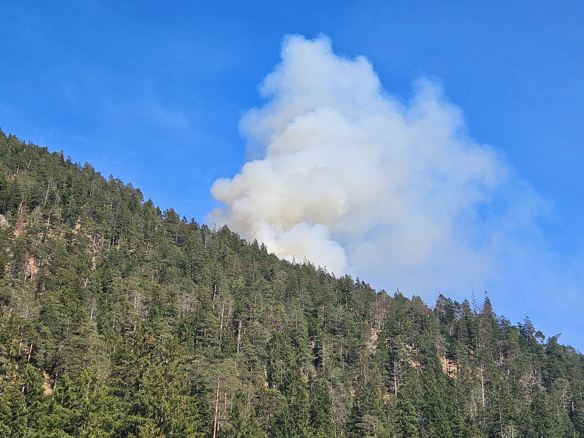 Waldbrand entlang des Höhenwegs am Plansee