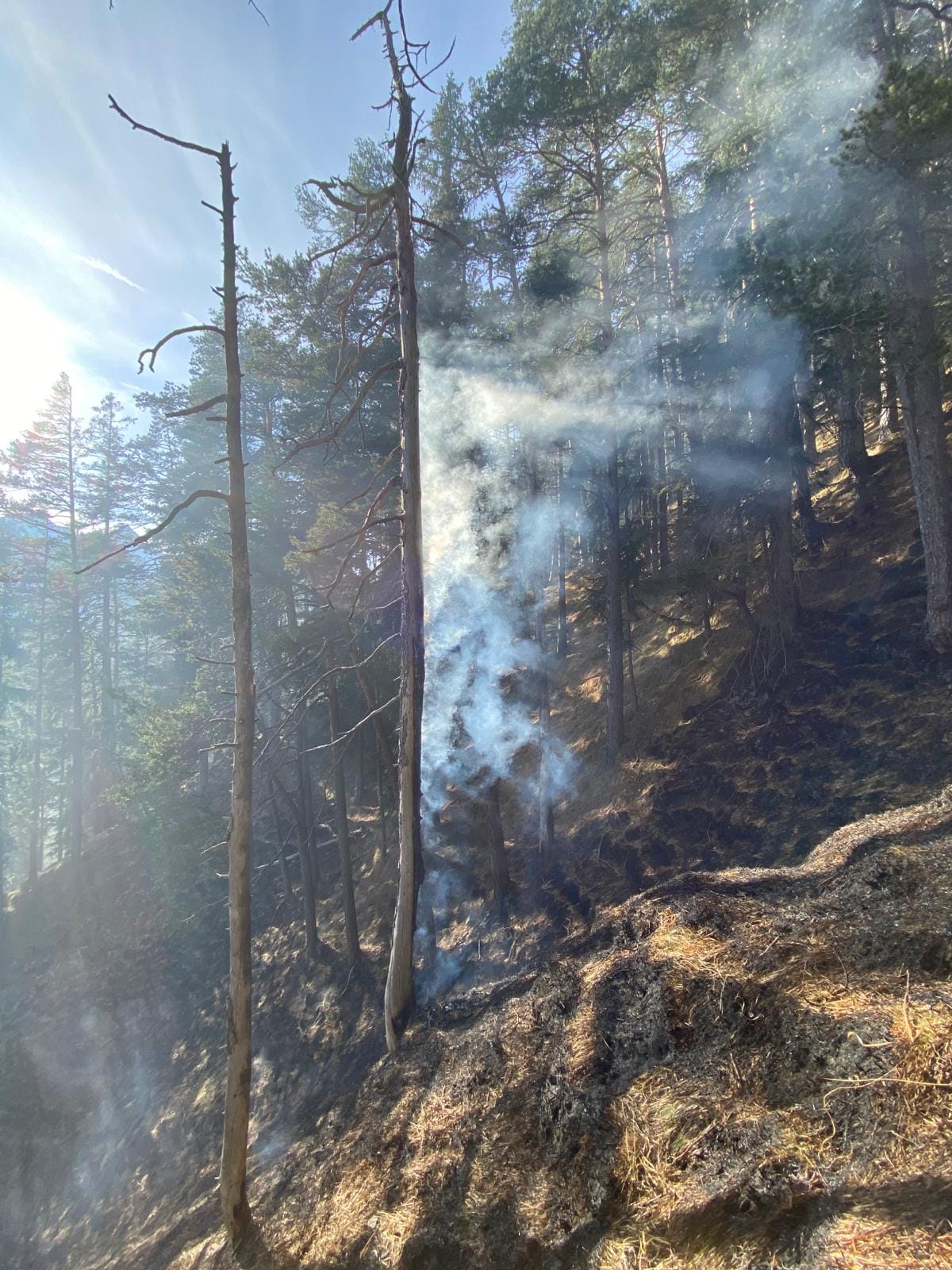 Waldbrand entlang des Höhenwegs am Plansee