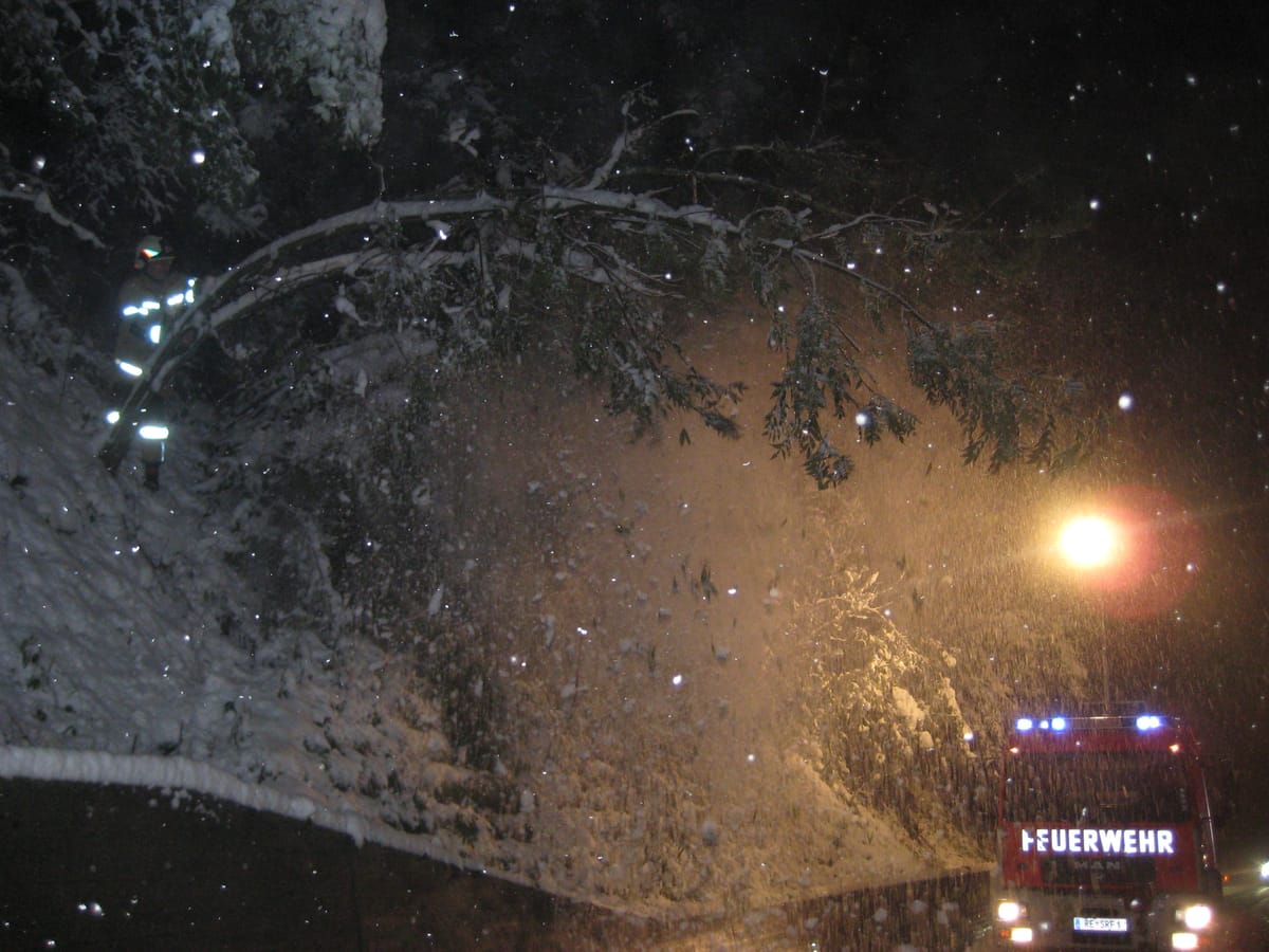 Baum hängt aufgrund dichtem Schneefall über die Straße