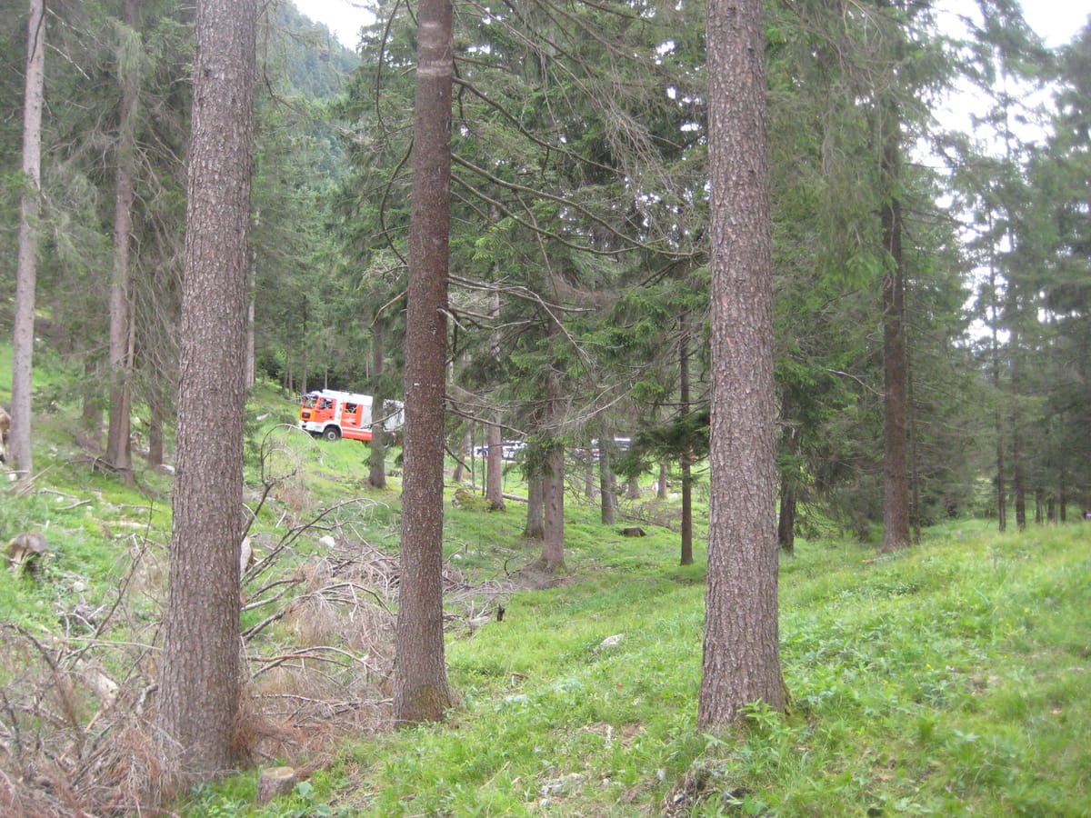 Feuerwehrfahrzeug am Waldweg
