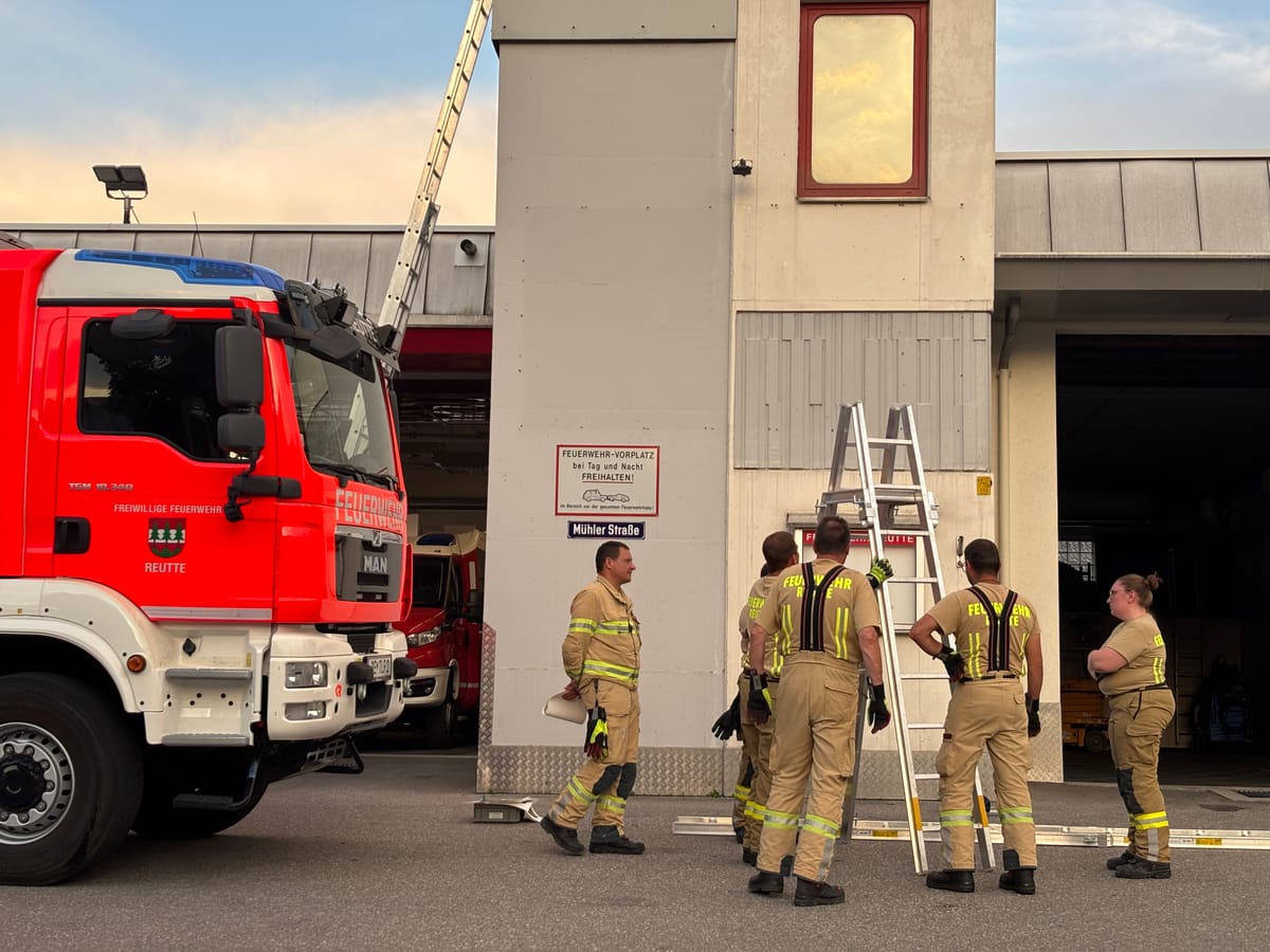 Ausbildung: Tragbare Leitern