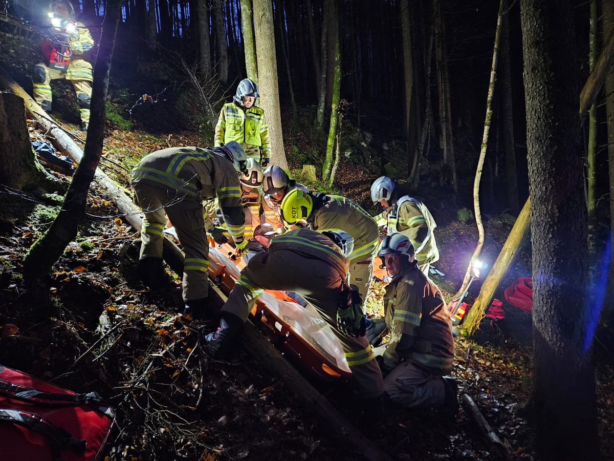 Übung: Holzerunfall im Klausenwald