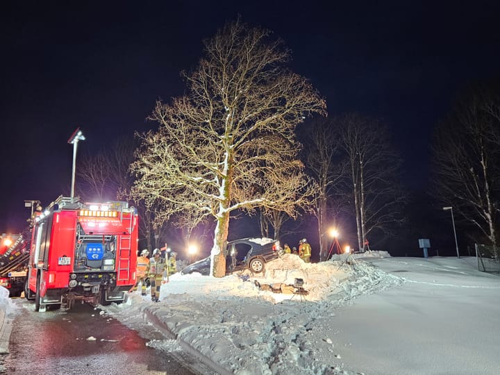 Übung: PKW gegen Baum